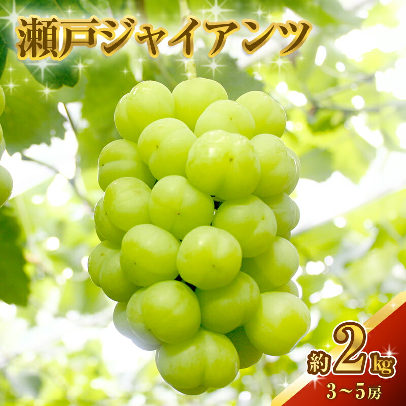【ふるさと納税】瀬戸ジャイアンツ 約2kg 3～5房 ぶどう 葡萄 フルーツ 岡山 高梁市産 2025年 先行予約 果物類 果物 　お届け：2025年9月下旬～2025年10月下旬