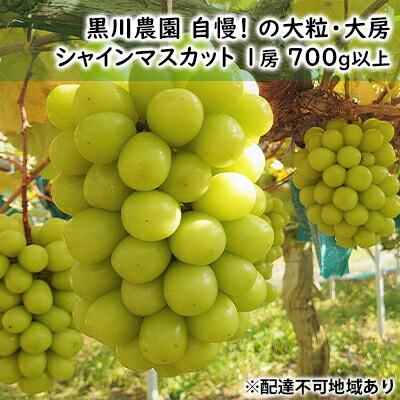 【ふるさと納税】ぶどう 2025年 先行予約 黒川農園 自慢 ! の大粒 大房 シャイン マスカット 1房 700g以上 ブドウ 葡萄 岡山県産 国産 フルーツ 果物 ギフト 果物類 　お届け：2025年10月上旬～2025年10月下旬