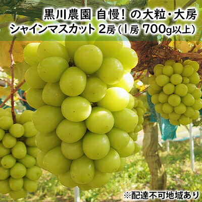 【ふるさと納税】ぶどう 2025年 先行予約 黒川農園 自慢 ! の大粒 大房 シャイン マスカット 2房 （1房 700g以上） ブドウ 葡萄 岡山県産 国産 フルーツ 果物 ギフト 果物類 　お届け：2025年10月上旬～2025年10月下旬