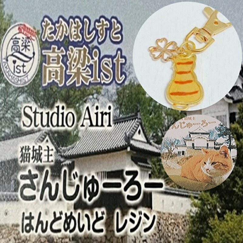 【ふるさと納税】備中松山城猫城主さんじゅーろーレジンキーホルダー＆ポストカード 雑貨 小物 オス猫 セット 名物 地域 どうぶつ アニマル 猫グッズ 猫モチーフ ハンドメイド 保護猫