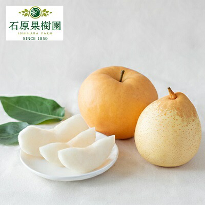 【ふるさと納税】梨 2025年 先行予約 あたご梨・鴨梨（ヤーリー）詰合せ 合計約3kg あたご2～3玉 鴨梨3～4玉 贈答箱【11月下旬～12月中旬頃発送】 ナシ なし 岡山県産 国産 フルーツ 果物 ギフト 石原果樹園 食べ比べ 　お届け：2025年11月15日～2025年12月20日