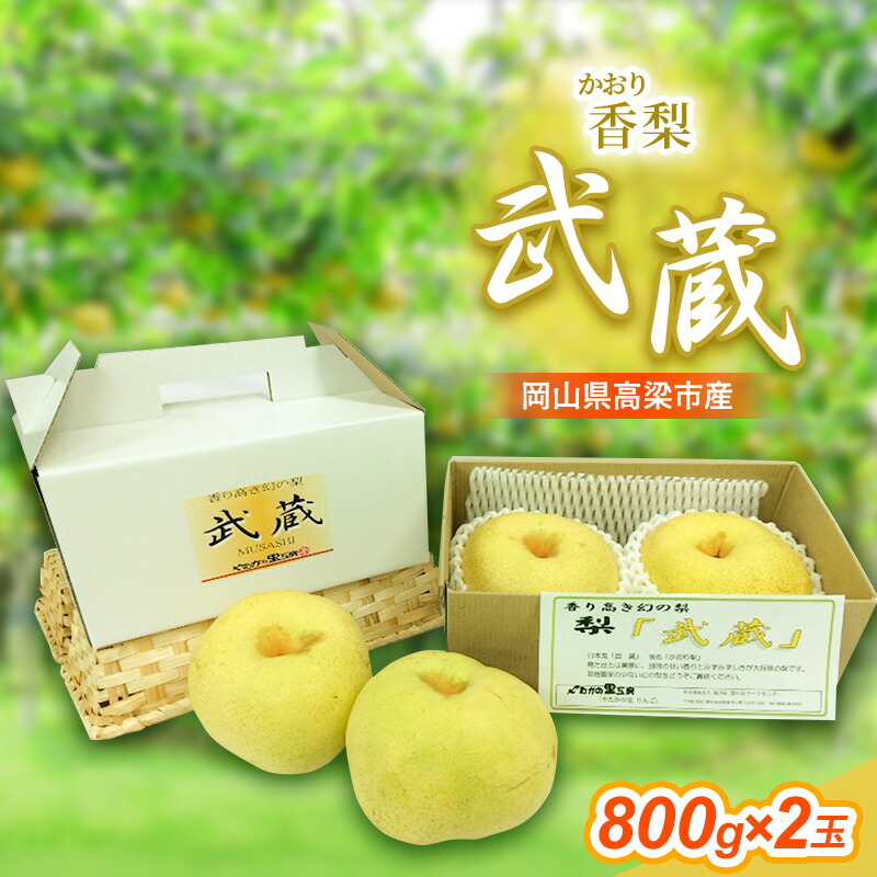 【ふるさと納税】早期受付 香梨 武蔵 約800g×2玉 岡山 和梨 梨 なし ナシ 新興 幸水 果物 フルーツ 　お届け：2025年9月下旬～2025年10月上旬