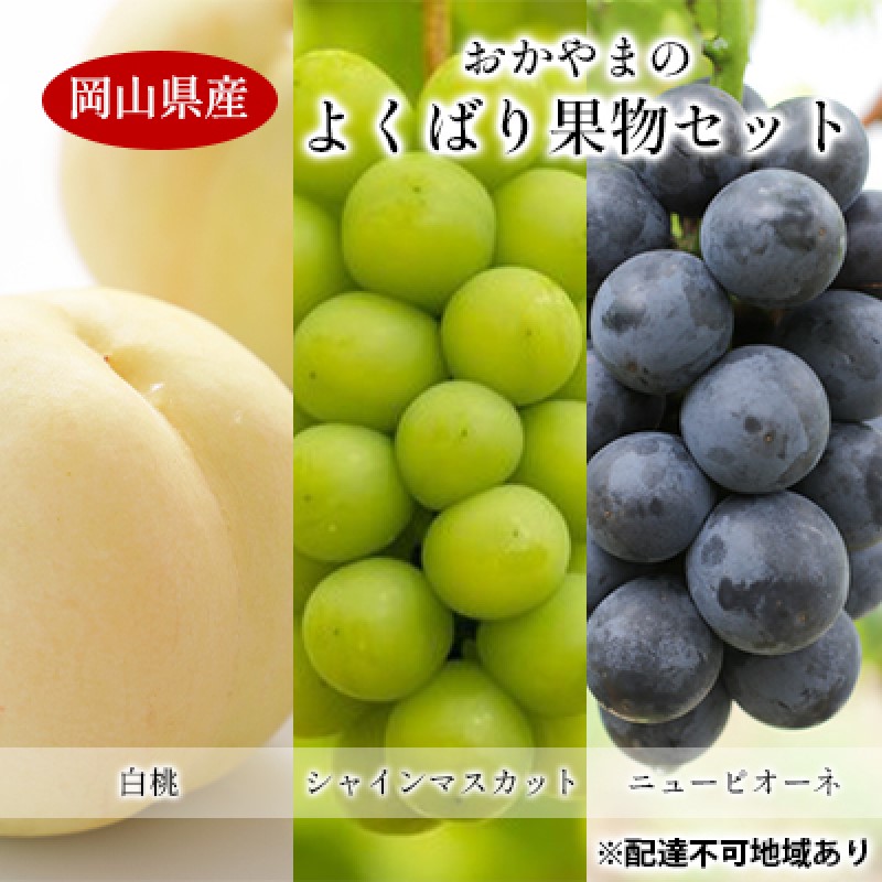 【ふるさと納税】桃 ぶどう 【2025年 先行予約】 よくばり 果物 セット 岡山 白桃 2玉 合計600g以上 シャインマスカット 2房 合計1.2kg以上 ニュー ピオーネ 2房 合計1kg以上 岡山県産 国産 フルーツ 果物 ギフト　お届け：2025年7月下旬～2025年8月下旬