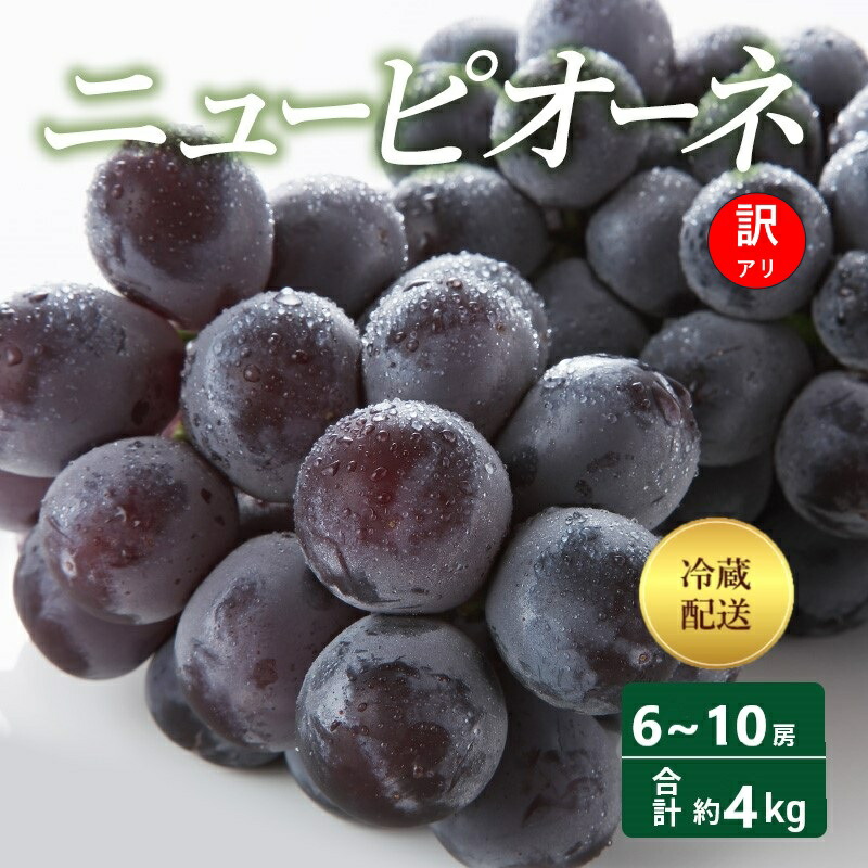 【ふるさと納税】【2026年 先行予約】【訳あり品】ニューピオーネ 6～10房 合計約4kg 冷蔵配送 ピオーネ ぶどう 葡萄 フルーツ 果物 岡山 高梁市　お届け：2026年8月下旬～2026年9月上旬