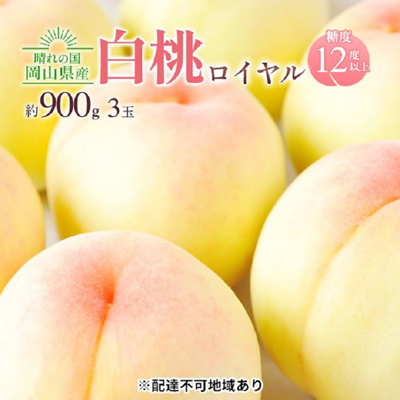 【ふるさと納税】桃 2026年 先行予約 岡山 白桃 ロイヤル 3玉入り 合計約900g もも モモ 岡山県産 国産 フルーツ 果物 ギフト 橋田商店　お届け：2026年7月上旬～2026年8月上旬｜岡山県高梁市