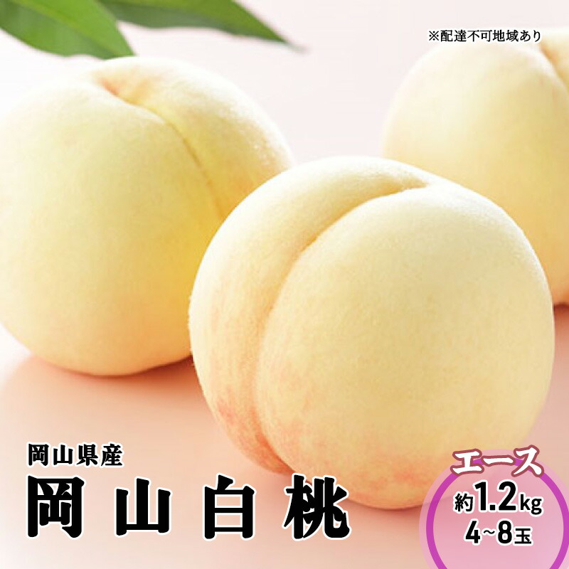 【ふるさと納税】桃 2026年 先行予約 岡山 白桃 エース 4~8玉 1.2kg 岡山県産 JAおかやまのもも モモ 岡山県産 国産 フルーツ 果物 ギフト お届け:2026年7月上旬~2026年8月下旬|岡山県高梁市