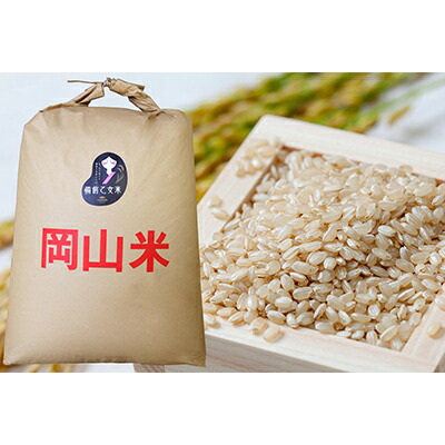 【ふるさと納税】石原果樹園の備前乙女米 玄米 30kg×1袋 ※11月上旬～順次発送予定 お米 ライス  乳酸菌栽培 岡山県 おにぎり お弁当　お届け：11月上旬～順次発送予定