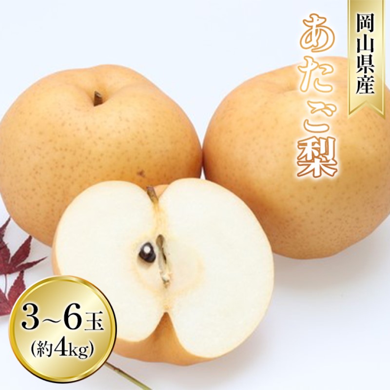 【ふるさと納税】梨 2026年 先行予約 あたご梨 約4kg 3～6玉入り なし ナシ 岡山県産 国産 フルーツ 果物 ギフト 和梨 デザート 食後 日本一の大きさ 大玉 シャリシャリ　お届け：2026年11月下旬～2026年12月中旬 13,500円
