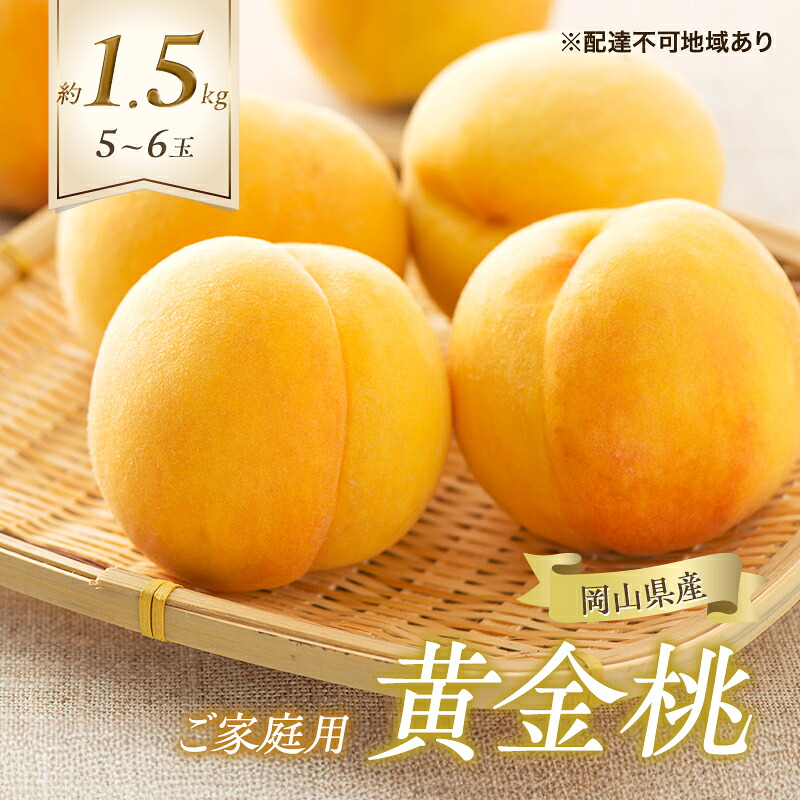 【ふるさと納税】桃 2026年 先行予約 ご家庭用 黄金桃 5～6玉 合計約1.5kg もも モモ 岡山県産 国産 フルーツ 果物 ギフト　お届け：2026年8月下旬～2026年9月上旬｜岡山県高梁市