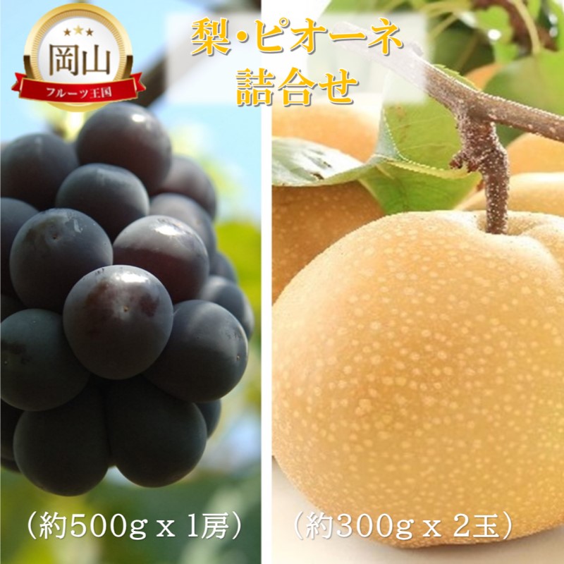 【ふるさと納税】2026年 早期受付 岡山県産 岡山の梨(約300g&times;2玉)・ピオーネ(約500g&times;1房) 詰合せ 梨 ピオーネ ぶどう ブドウ 葡萄 果物 フルーツ　お届け：2026年9月上旬～2026年9月中旬｜岡山県高梁市