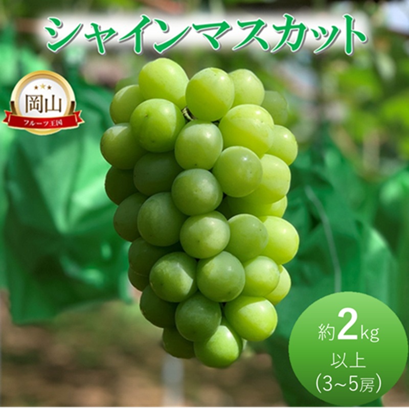 【ふるさと納税】2026年 早期受付 ぶどう シャインマスカット約2kg(3~5房) 岡山県高梁市産 岩原農園 葡萄 ブドウ お届け:2026年9月上旬~2026年10月上旬|岡山県高梁市