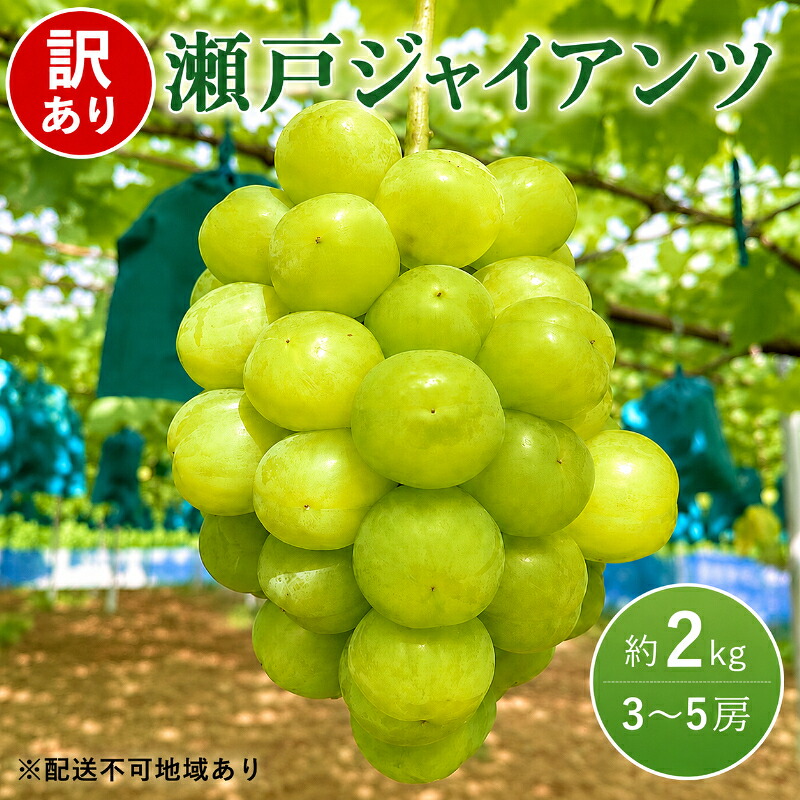 【ふるさと納税】2026年 早期受付 ぶどう 瀬戸ジャイアンツ 3～5房 約2kg 岡山県高梁市産 うめづぶどう園 化粧箱入り 葡萄 ブドウ 訳あり　お届け：2026年9月下旬～2026年10月下旬