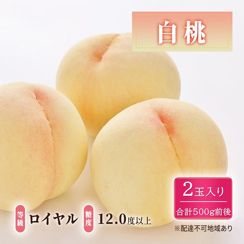 【ふるさと納税】桃 2026年 先行予約 白桃 等級: ロイヤル 糖度12.0度以上 2玉入り 合計500g前後 もも モモ 岡山県産 国産 フルーツ 果物 ギフト お届け:2026年7月上旬~2026年8月下旬|岡山県高梁市