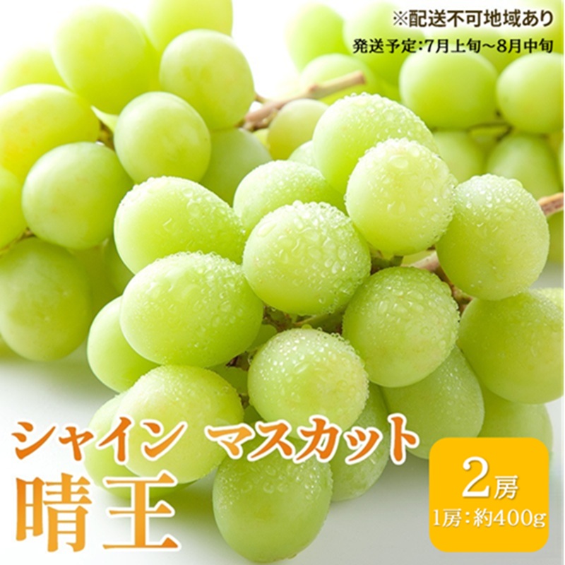 【ふるさと納税】ぶどう 2026年 先行予約 シャイン マスカット 晴王 約400g&times;2房 ブドウ 葡萄 岡山県産 国産 フルーツ 果物 ギフト シャインマスカット 美しい 大粒 種なし 弾力 高糖度 甘い　お届け：2026年7月上旬～2026年8月中旬｜岡山県高梁市