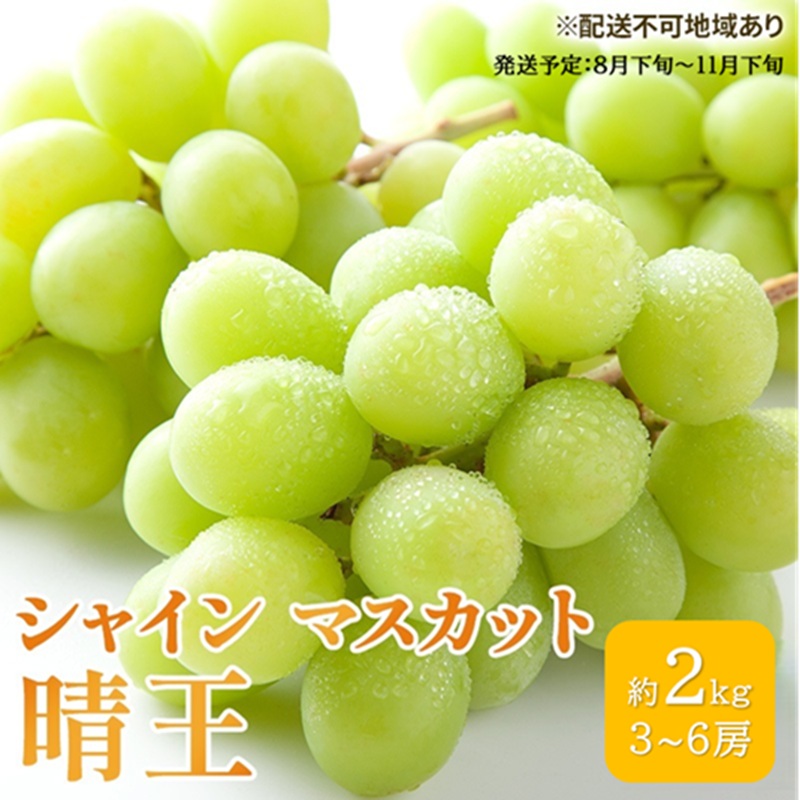 【ふるさと納税】ぶどう 2026年 先行予約 シャイン マスカット 晴王 3房～6房 約2kg ブドウ 葡萄 岡山県産 国産 フルーツ 果物 ギフト 果物類　お届け：2026年8月下旬～2026年11月下旬｜岡山県高梁市