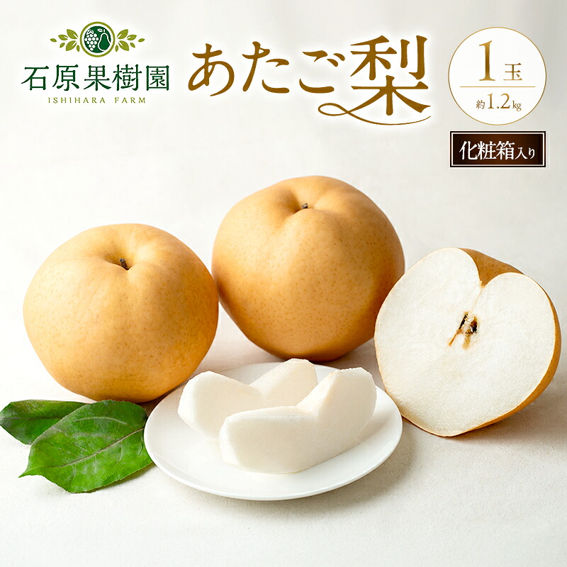 【ふるさと納税】梨 2026年 先行予約 あたご梨 1玉 (約1.2kg) 化粧箱 【11月下旬～12月中旬頃発送】 ナシ なし 岡山県産 国産 フルーツ 果物 ギフト 石原果樹園　お届け：2026年11月15日～2026年12月20日