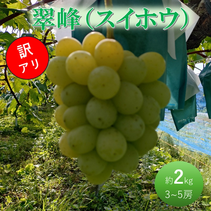 【ふるさと納税】ぶどう 先行予約 訳あり 翠峰 約2kg(3～5房) ブドウ 葡萄 岡山県産 国産 フルーツ 果物　お届け：2026年9月下旬～2026年10月中旬｜岡山県高梁市 15,000円