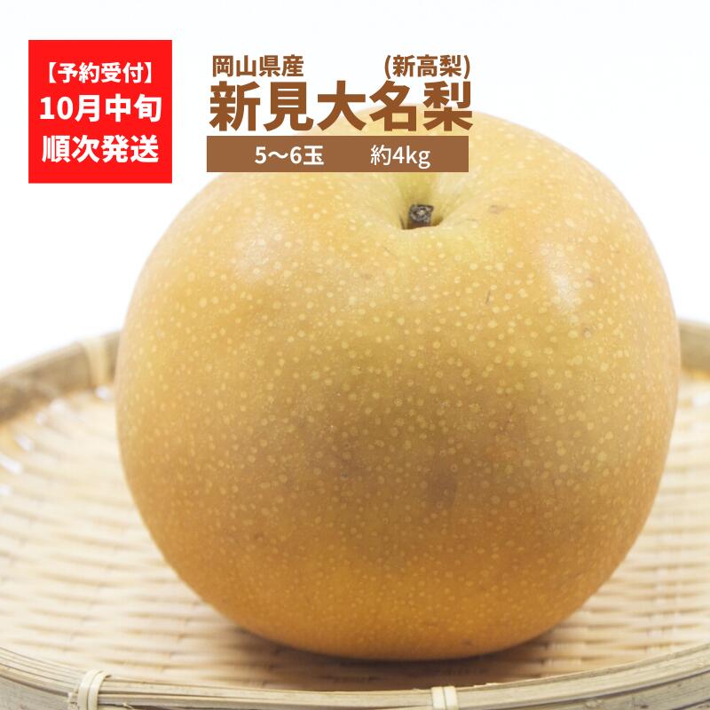 【ふるさと納税】先行予約 梨 新高梨 新見大名梨 なし 果物 フルーツ 秋の味覚 デザート 4kg 5～6玉 和梨 おすすめ 人気 お取り寄せ お取り寄せグルメ 取り寄せ ギフト 贈り物 プレゼント 贈答 自宅用 産地直送 旬 大玉 大きい 岡山県