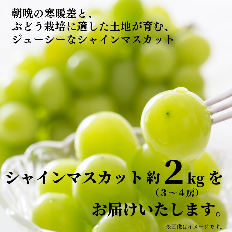 最大49%OFFクーポン ふるさと納税 山梨市 山梨市産シャインマスカット 訳あり 3〜7房 2kg以上