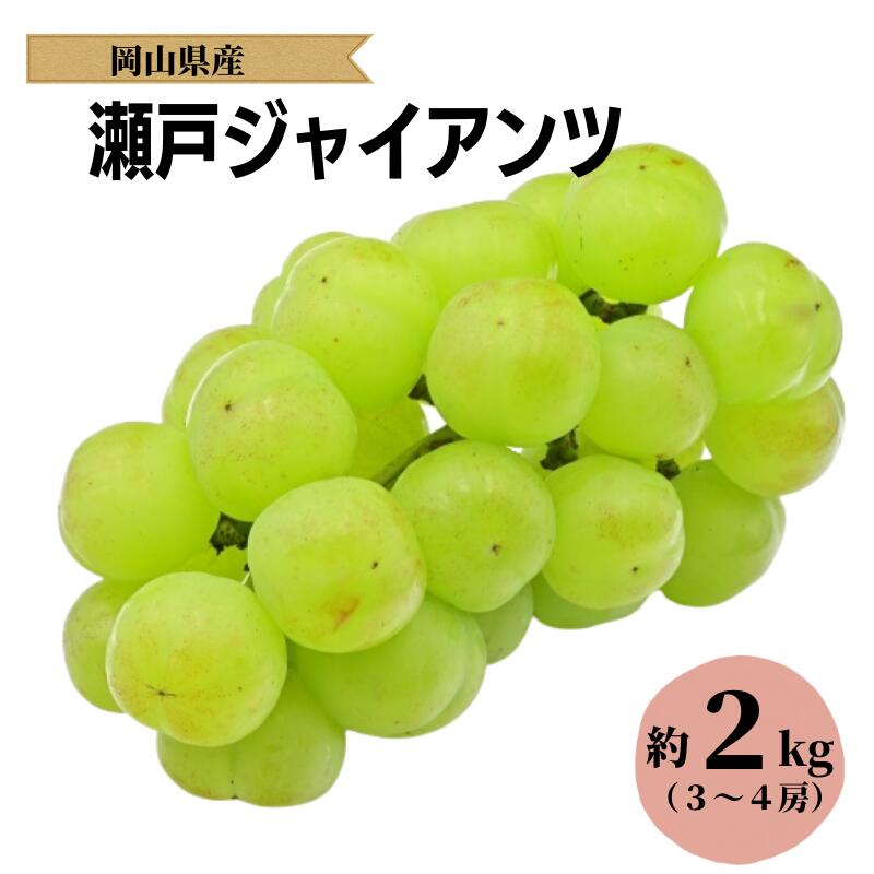 【ふるさと納税】先行予約 瀬戸ジャイアンツ 2キロ 2kg 3房 4房 種なし 種無し おすすめ 人気 美味しい 甘い プレゼント お裾分け ギフト 贈り物 贈答 贈答用 夏の贈り物 大きい 大粒 岡山 新見 美味しい 産地 産地直送 特産品 露地 A級食材 フルーツ 果物
