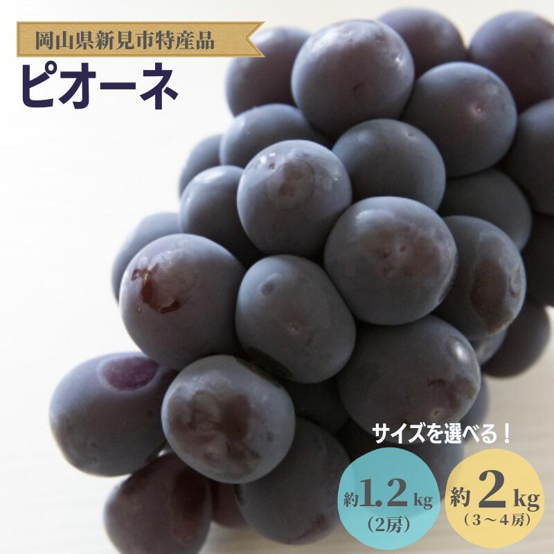 【ふるさと納税】先行予約 選べる ピオーネ ニューピオーネ 1.2キロ 1.2kg 2キロ 2kg 2房 3房 4房 種なし おすすめ 人気 美味しい 甘い プレゼント お裾分け ギフト 贈り物 贈答 贈答用 お中元 夏の贈り物 大きい 大粒 岡山 新見 美味しい 特産品 露地 A級食材 フルーツ 果物