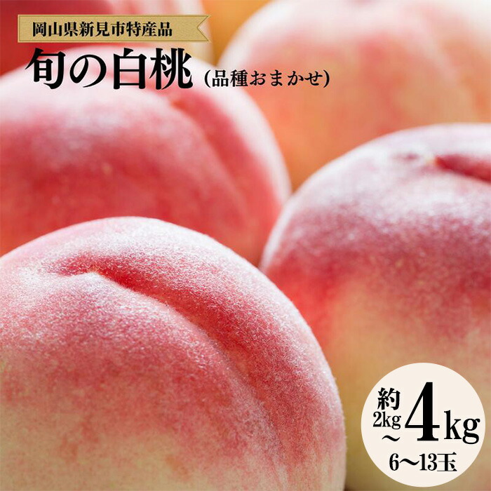 【ふるさと納税】先行予約 白桃 桃 ＜ 約 2kg 6玉 /  約 3kg 8玉 / 約 4kg 12~13玉 ＞ もも モモ 岡山 産地 収穫時期 旬の時期 人気 ギフト 贈り物 贈答品 贈答 プレゼント お中元 暑中見舞い 特産品 果物 フルーツ