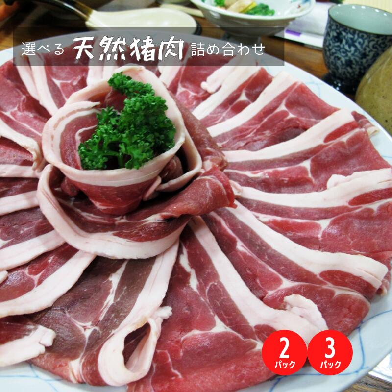 【ふるさと納税】 量を選べる 新見産天然猪肉 極上詰め合わせ スライス肉 約300g×3 【12月上旬～8月下旬頃発送】 14,040円