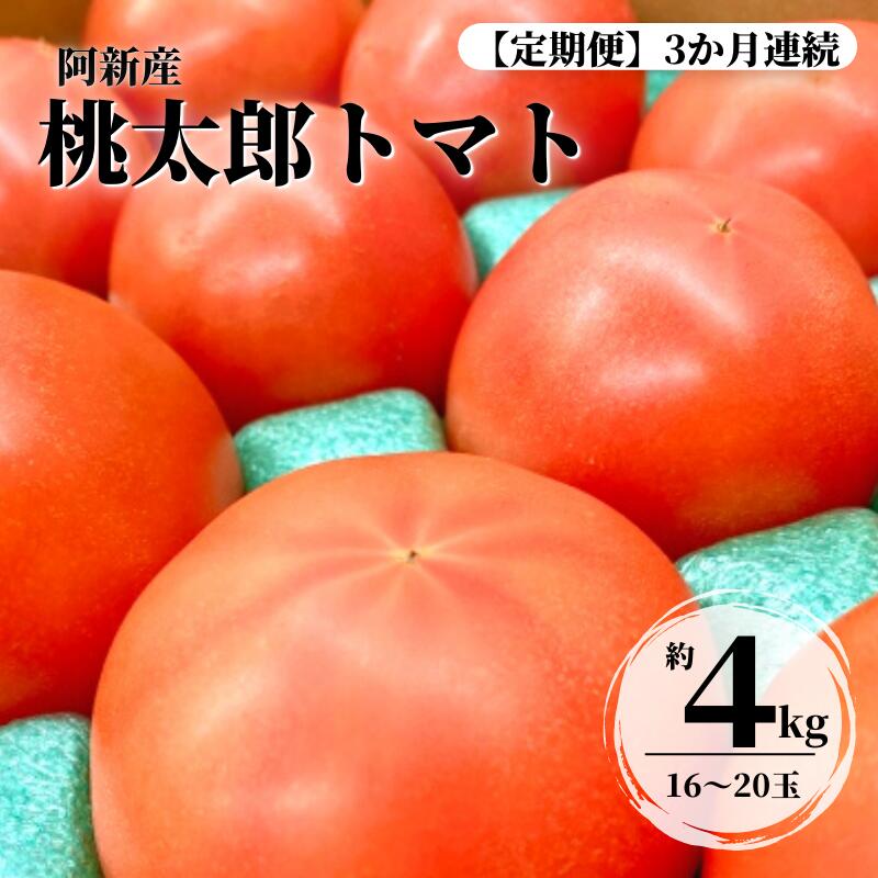 【ふるさと納税】定期便 3ヶ月連続 トマト 大玉トマト 桃太郎トマト 1箱 約4kg 16～20玉 野菜 夏の野菜 美味しい おすすめ 人気 プレゼント ギフト 贈り物 産地直送 岡山県産 サラダ 完熟 ミネストローネ 冷製パスタ カレー トマトソース