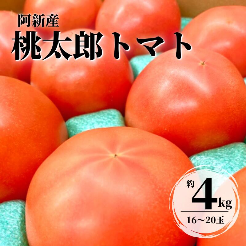 【ふるさと納税】トマト 大玉トマト 桃太郎トマト 1箱 約4kg 16～20玉 野菜 夏の野菜 美味しい おすすめ 人気 プレゼント ギフト 贈り物 産地直送 岡山県産 サラダ 完熟 ミネストローネ 冷製パスタ カレー トマトソース