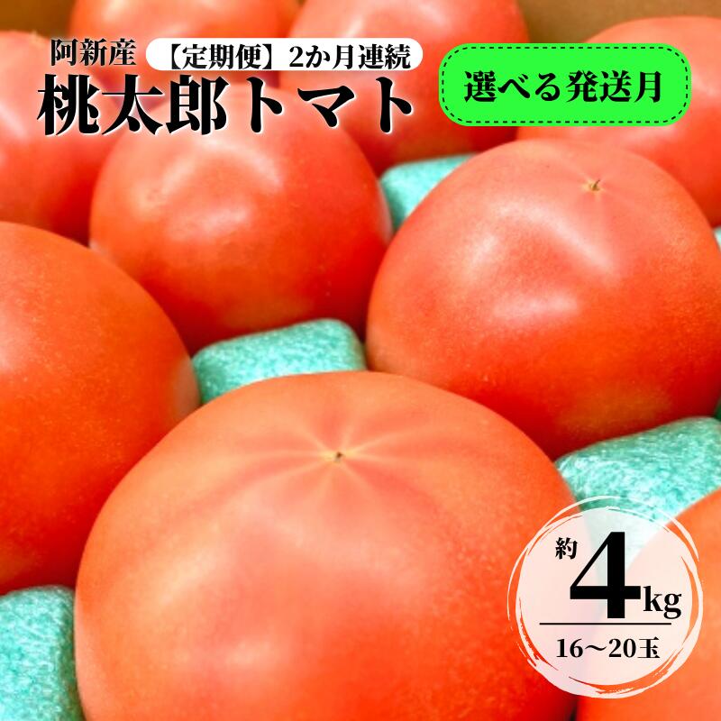 【ふるさと納税】定期便 2ヶ月連続 トマト 大玉トマト 桃太郎トマト 1箱 約4kg 16～20玉 野菜 夏の野菜 美味しい おすすめ 人気 プレゼント ギフト 贈り物 産地直送 岡山県産 サラダ 完熟 ミネストローネ 冷製パスタ カレー トマトソース