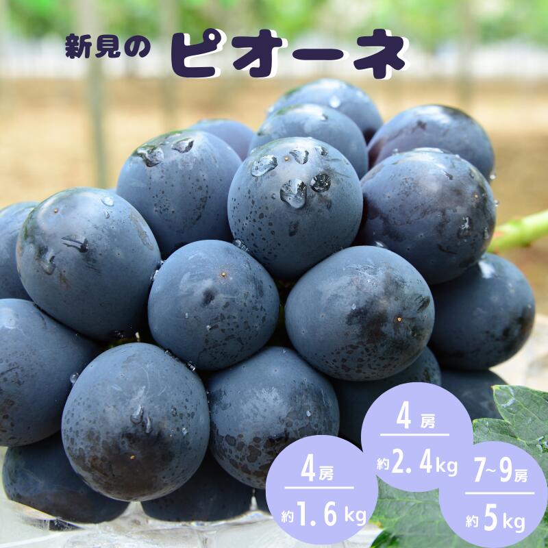 【ふるさと納税】【先行予約】 ピオーネ ＜ 約1.6kg 4房 / 約 2.4kg 4房 / 約 5kg 7～9房 ＞ ニューピオーネ ぶどう 種なし 種無し おすすめ 人気 プレゼント ギフト 贈答 贈答用 甘い 大きい 大粒 岡山 新見 美味しい 産地 人気 産地直送 特産品 露地 A級食材 フルーツ 果物