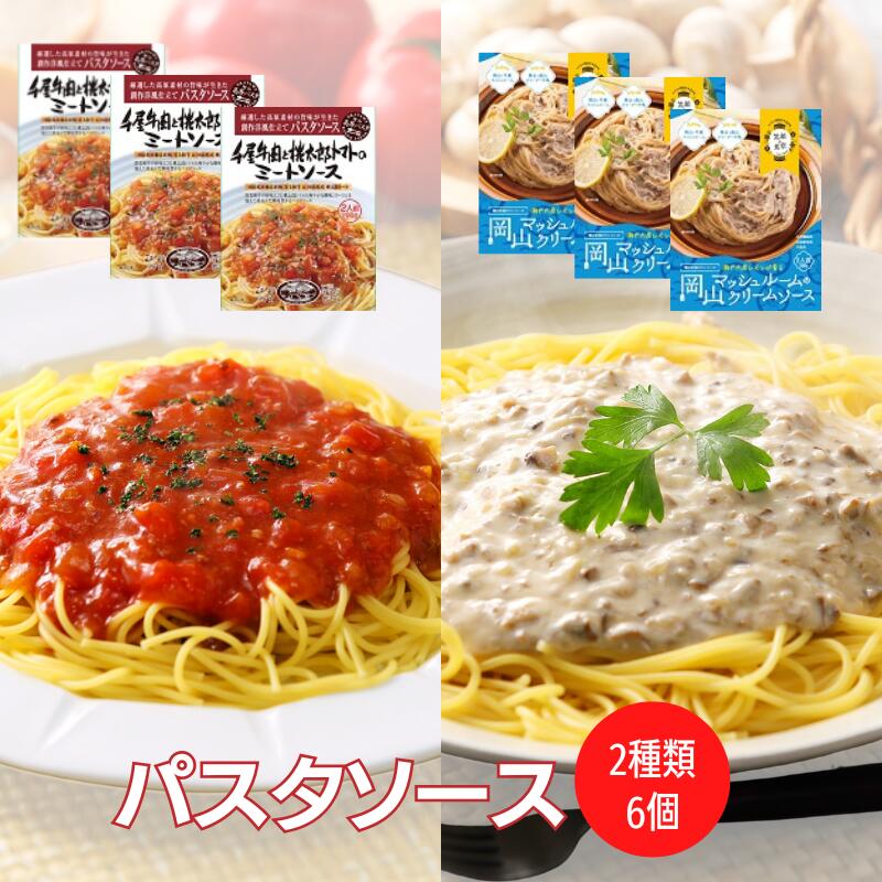 【ふるさと納税】レトルト食品 レトルトパスタソース レトルトパウチ パスタソース ご当地パスタ パスタソース クリームソース ミートソース おすすめ 美味しい セット 食べ比べ ギフト プレゼント 贈り物 贈答品 贈答用 人気 一人暮らし 常温 贅沢｜岡山県新見市