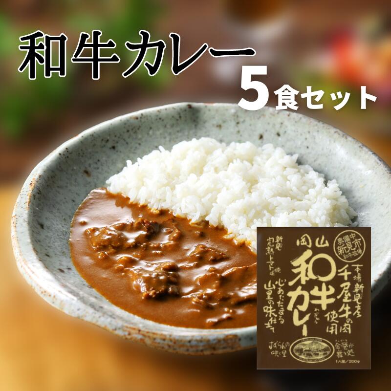 激安価格と即納で通信販売 和牛カレーレトルト5食セット千屋牛使用 Fucoa Cl