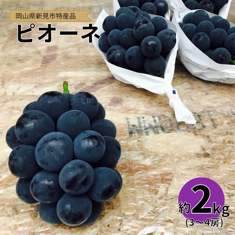 【ふるさと納税】ピオーネ 約2kg 3～4房 山田ぶどう園【先行予約 9月上旬から順次発送】