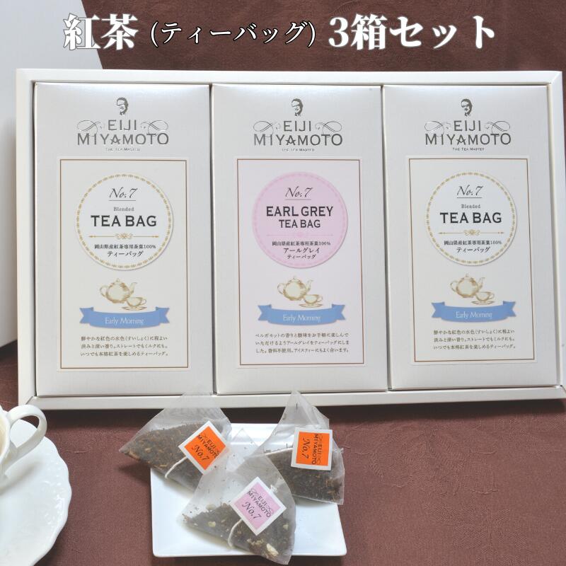 【ふるさと納税】紅茶 ティーバック 3箱 セット プレーン アールグレイ 美味しい おすすめ 人気 飲み比べ プレゼント ギフト 贈り物 贈答 のし対応 TEA フレーバーティー ベルガモット アイスティー ホットティー アフタヌーンティー おうちカフェ ティータイム 紅茶農園｜岡山県新見市