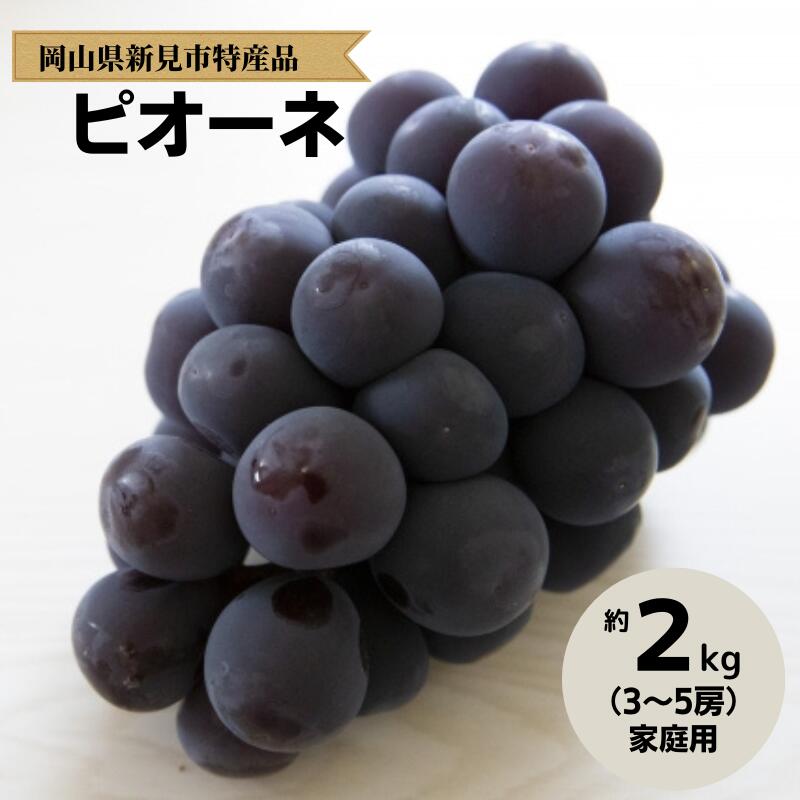 【ふるさと納税】中川農園 ピオーネ 約2kg 3～5房 ご家庭用 【先行予約 9月中旬から順次発送】