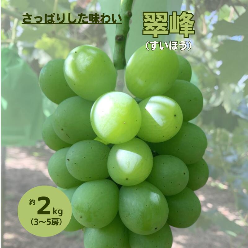 【ふるさと納税】中川農園 翠峰 約2kg 3～5房 【先行予約 2026年9月から順次発送】ぶどう 葡萄 翠峰 2kg 2キロ 3房 4房 5房 岡山 新見 露地栽培 露地物 美味しい 甘い 種なし 産地 人気 贈答 贈答用 プレゼント ギフト 産地直送 特産品 露地 A級食材
