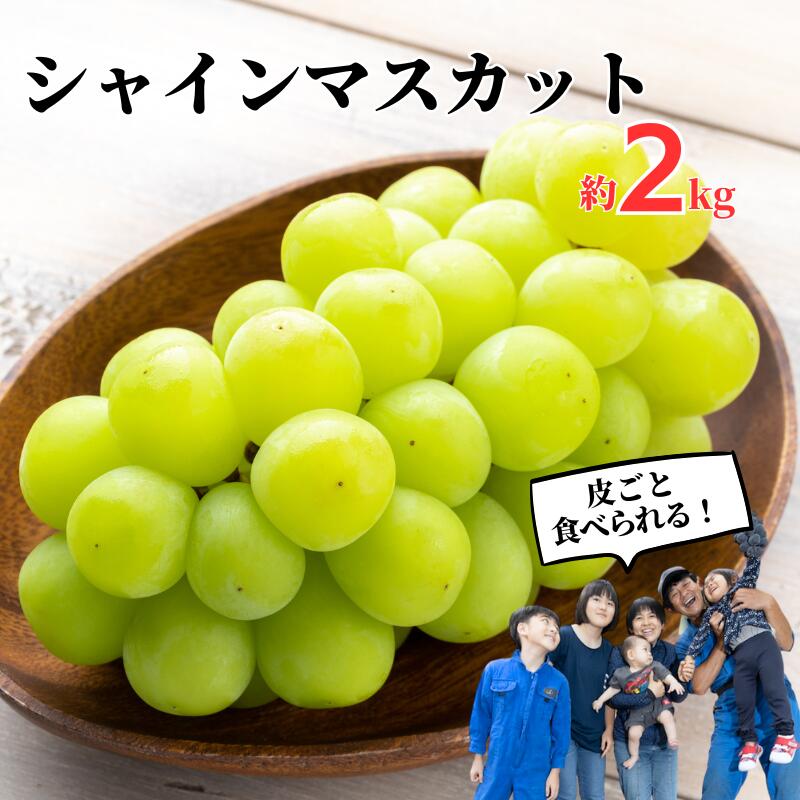 【ふるさと納税】シャインマスカット 約 2kg 3～4房 村本ぶどう園 岡山 【 先行予約 10月上旬から順次発送 】