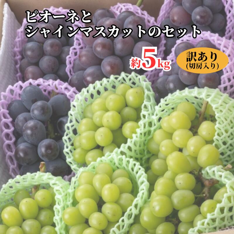 【ふるさと納税】訳あり ピオーネ シャインマスカット セット 詰め合わせ もりおか農園 よろこびぶどう 切房入り 約 5kg 8～13房 種なし 岡山 【 先行予約 10月上旬から 順次発送 】