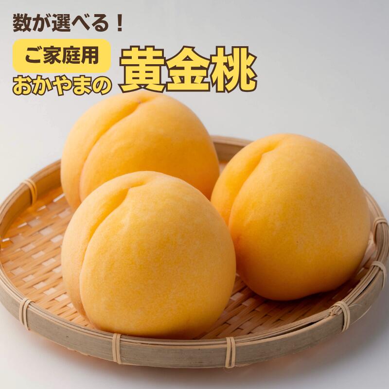 【ふるさと納税】数が選べる おかやまの黄金桃 先行予約 黄金桃 先行予約 ご家庭用 おかやま 大玉 3玉 900g 5～6玉 約1.3kg 岡山県 フルーツ もも モモ ピーチ 人気 新鮮 くだもの 果物 新見 新見市｜岡山県新見市