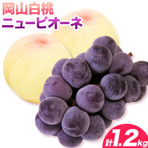 【ふるさと納税】【2025年 先行受付】 白桃 ニューピオーネ  計1.2kg 桃 2玉 ぶどう 1房 《2025年7月上旬-8月上旬頃出荷予定》先行予約 岡山県産