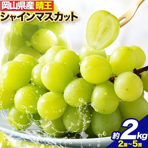 【ふるさと納税】【2025年 先行受付】 フルーツ 果物 マスカット 岡山県産 シャインマスカット ぶどう 晴王 約 2kg 2房 ~ 5房《2025年8月上旬-11月下旬頃出荷》土方商店 岡山県 備前市 葡萄 送料無料