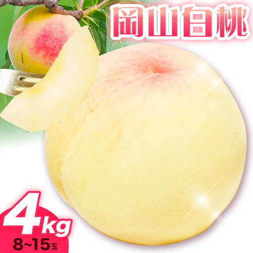 【ふるさと納税】【2025年 先行受付】白桃 岡山 約4kg 8～15玉 《2025年7月上旬-8月上旬頃出荷予定》有限会社 土方商店 岡山県産 岡山県 備前市