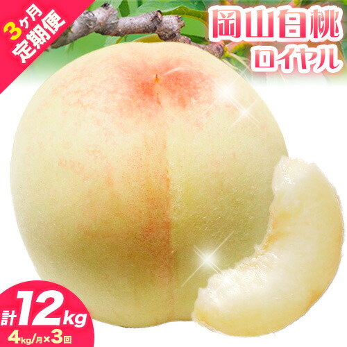 【ふるさと納税】【2025年 先行受付】 白桃 岡山 定期便 ロイヤル 4kg 3回発送  計12kg《2025年7月上旬-8月上旬頃出荷予定》岡山県産  フルーツ 果物 定期便 定期