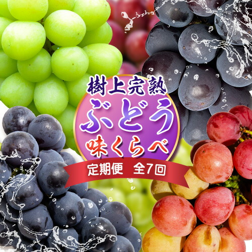 【ふるさと納税】【定期便】ぶどう【2025年発送】岡山県備前市産 樹上完熟ぶどう 味くらべセット 計７回《8月中旬-10月下旬頃出荷》株式会社フルーツパーク備前 岡山県 備前市 葡萄 食べ比べ セット フルーツ 果物 定期便 定期