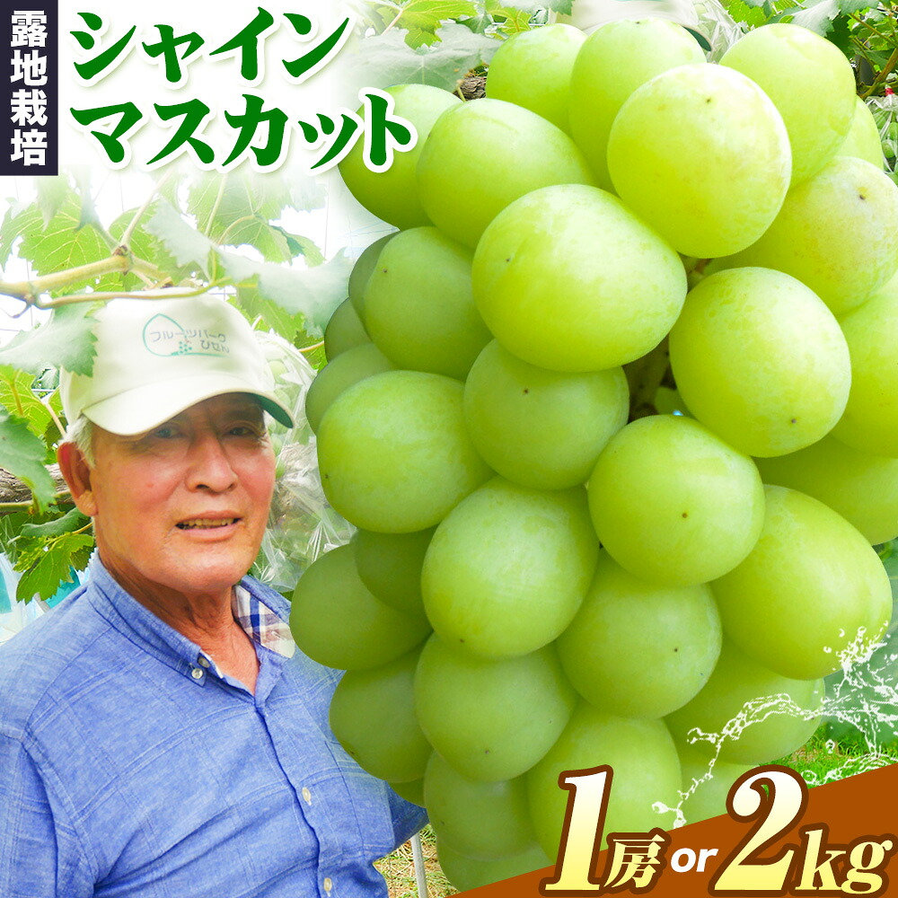 【ふるさと納税】ぶどう【2026年発送】岡山県備前市産 樹上完熟 シャインマスカット(露地栽培) 選べる内容量 1房（約600g前後）約2kg フルーツパークびぜん《9月-10月頃出荷》岡山県 備前市 樹上完熟 シャインマスカット マスカット 露地栽培 葡萄 フルーツ 果物｜岡山県備前市 10,850円