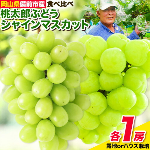 【ふるさと納税】ぶどう【2025年発送】岡山県備前市産 樹上完熟 シャインマスカット・桃太郎ぶどう 2種セット 各1房（1房500g以上） 選べる栽培方法 露地栽培 ハウス栽培 フルーツパークびぜん《8月-10月頃出荷》岡山県 備前市 樹上完熟 食べ比べ 葡萄 フルーツ 果物