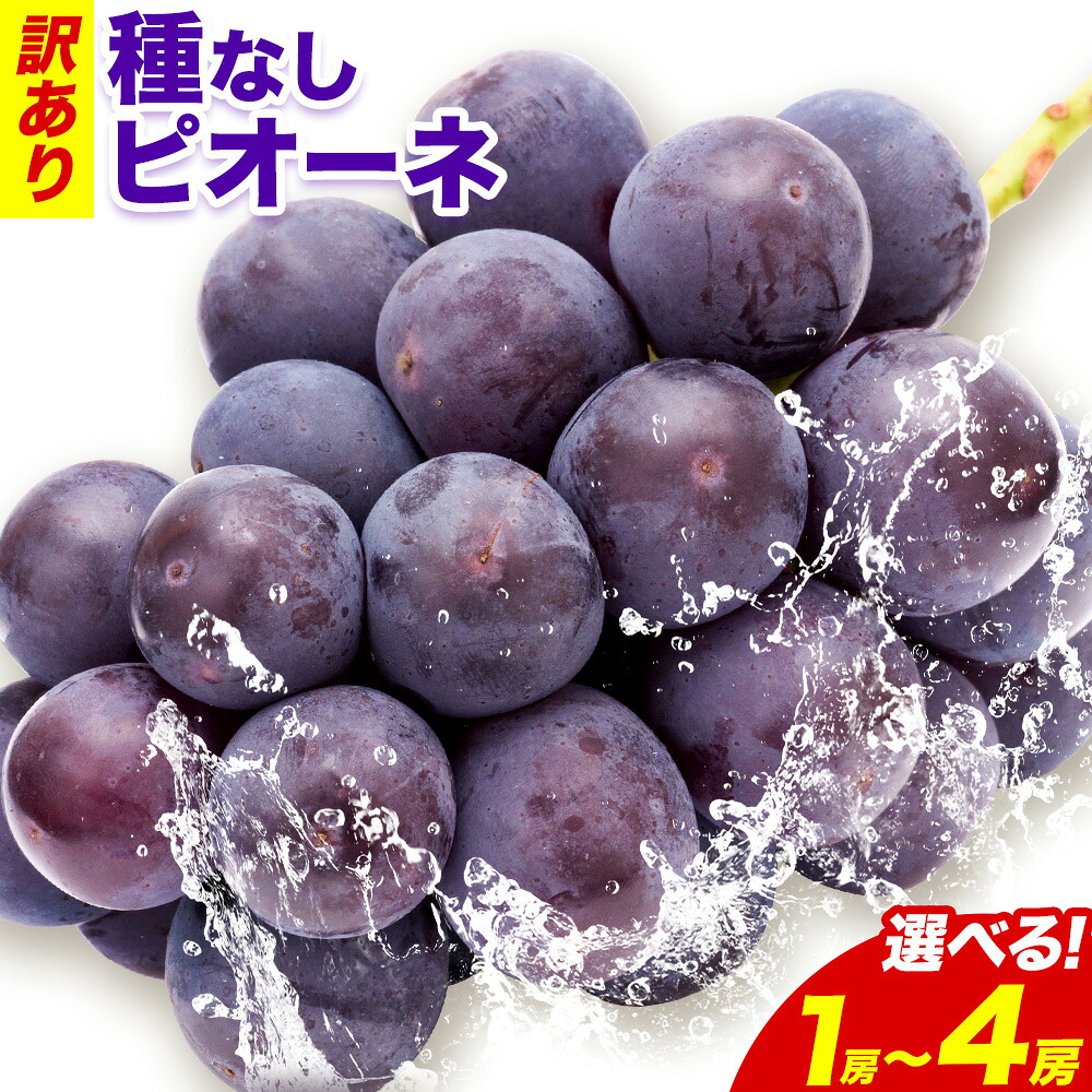 【ふるさと納税】訳あり ピオーネ 岡山県産 選べる 約600g 1房 計1.2kg 2房 計2.4kg 4房《9月中旬-11月上旬頃出荷》岡山県 備前市 くだもの 果物 フルーツ ぶどう スイーツ 葡萄 ご家庭用 ニューピオーネ 種なし|岡山県備前市