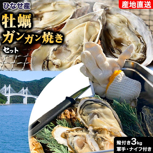 【ふるさと納税】【牡蠣-1グランプリ受賞】期間限定 牡蠣 ガンガン焼きセット ひなせ産 カキ 加熱用 軍手 ナイフ 付 殻付き 3kg (25～35個程度) 株式会社Dreams《1月上旬-4月末頃出荷》岡山県 備前市 送料無料 牡蠣 焼き 海産物 お取り寄せ 牡蠣ご飯 カキフライ かき 大容量