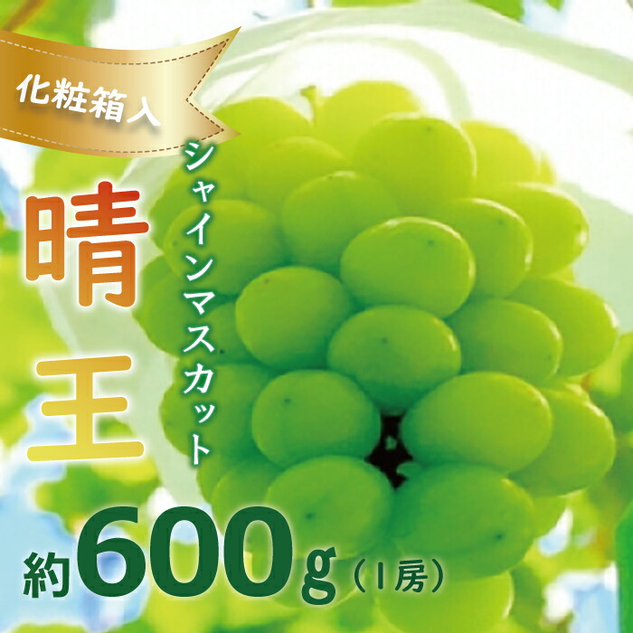 15周年記念イベントが ぶどう シャインマスカット 晴王 1房 約600g 岡山県産 化粧箱入 fucoa.cl